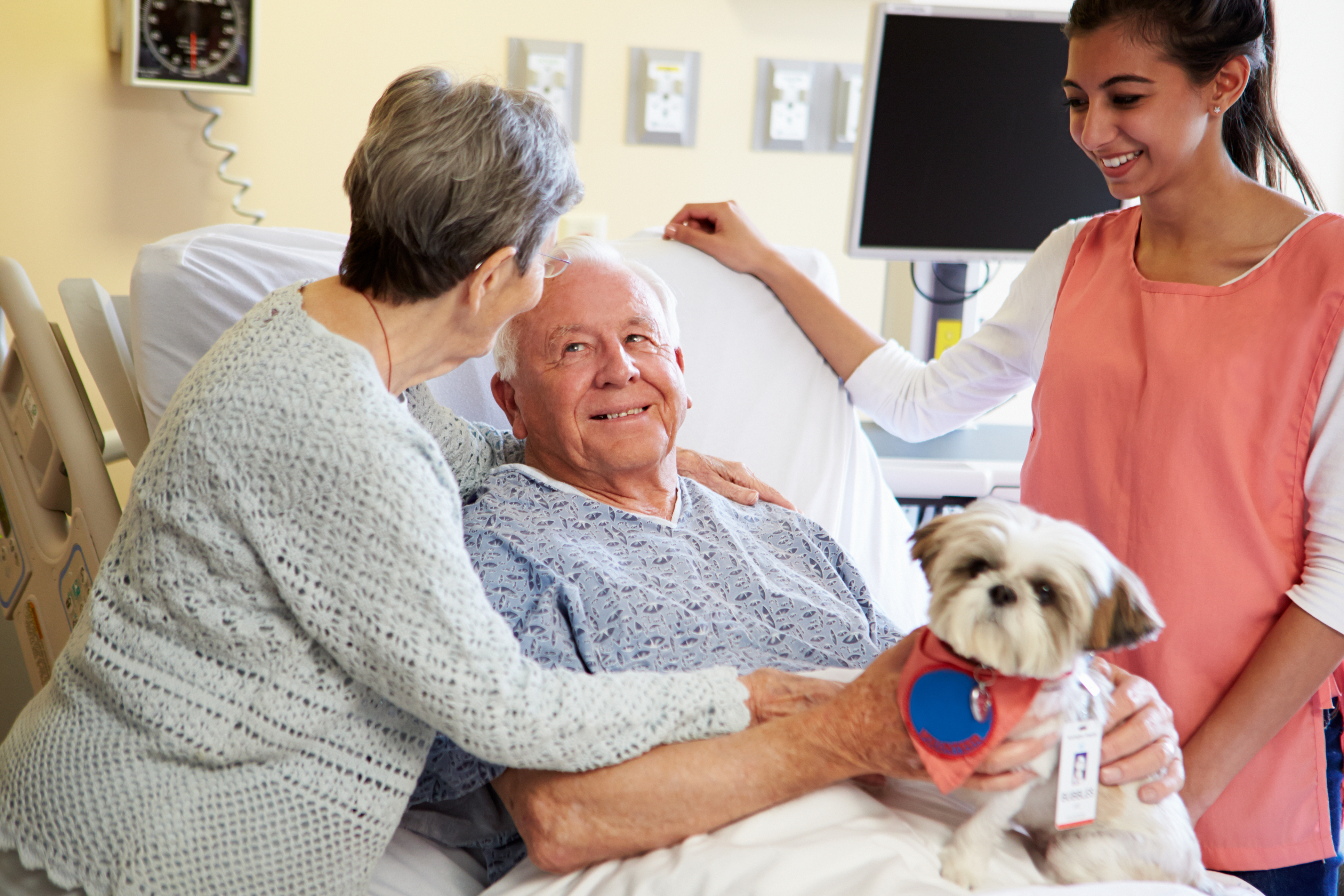 what are the benefits of therapy dogs