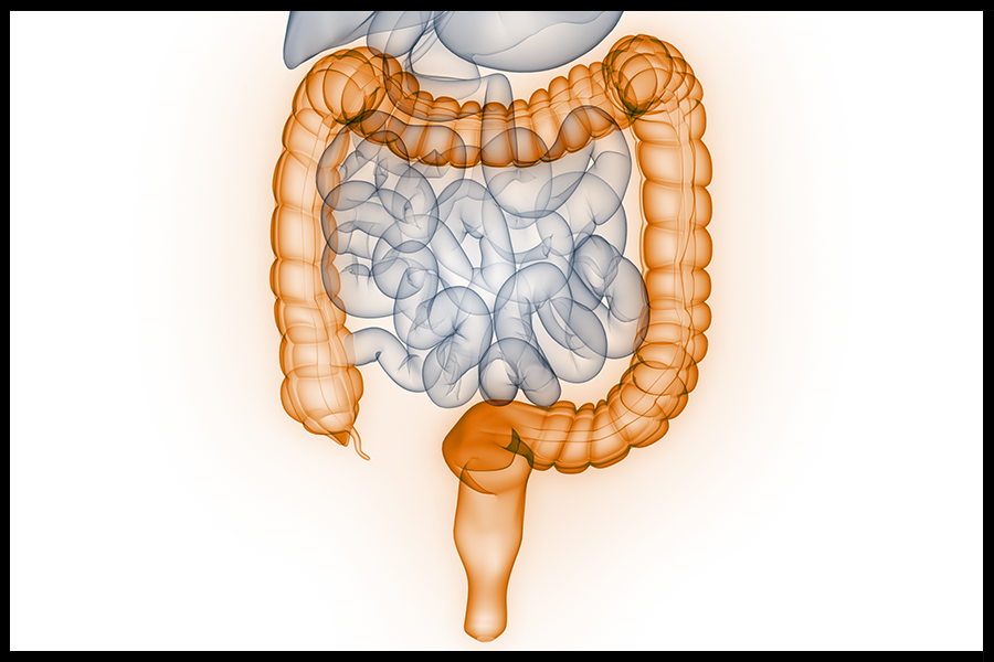 How-I-Manage-My-Neurogenic-Bowels